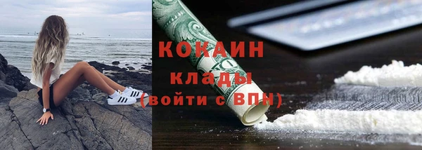 индика Вязники