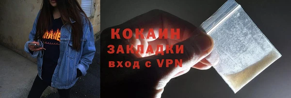 индика Вязники