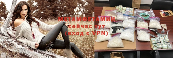 индика Вязники