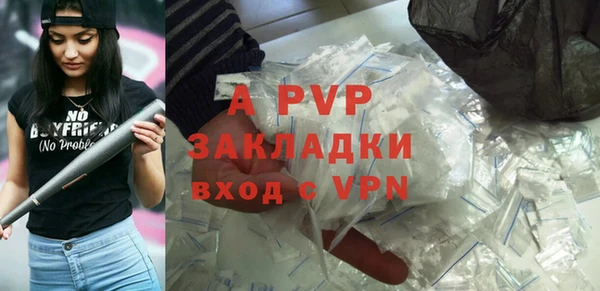 индика Вязники