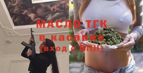 индика Вязники