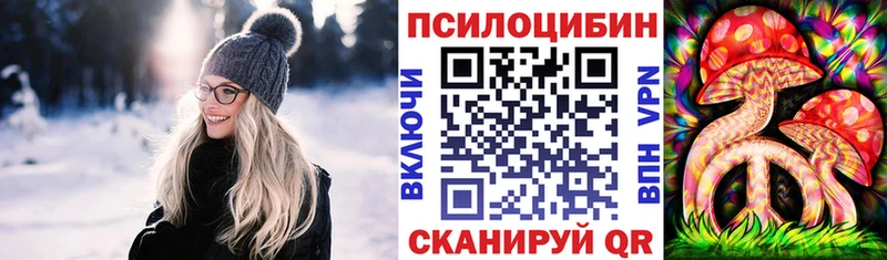дарк нет официальный сайт  Змеиногорск  Псилоцибиновые грибы прущие грибы 