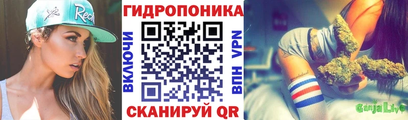 Бошки марихуана THC 21%  Змеиногорск 
